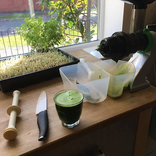 89360608_10215814844425882_6557306895005122560_n