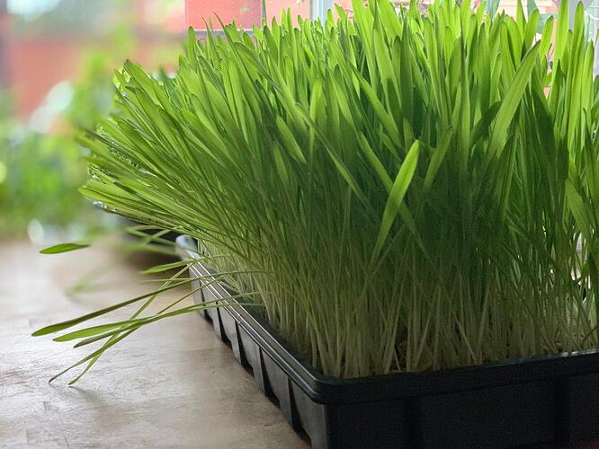 1c3ea390-12e9-4b6c-95a5-a2abd98644ce