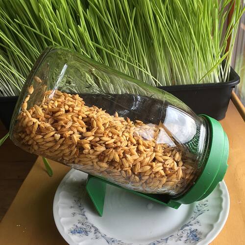 87602702_10215814841625812_6641983498095689728_n