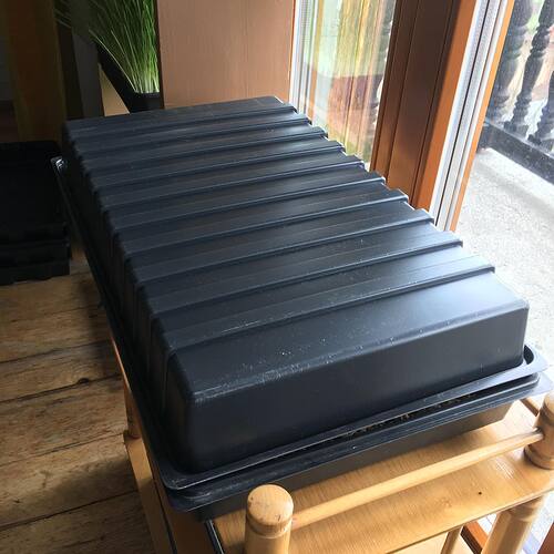 87392304_10215814842905844_5311772615457636352_n