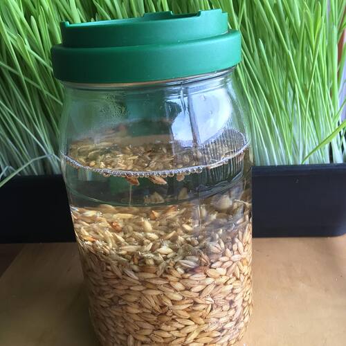 87485927_10215814840705789_1602881451269816320_n